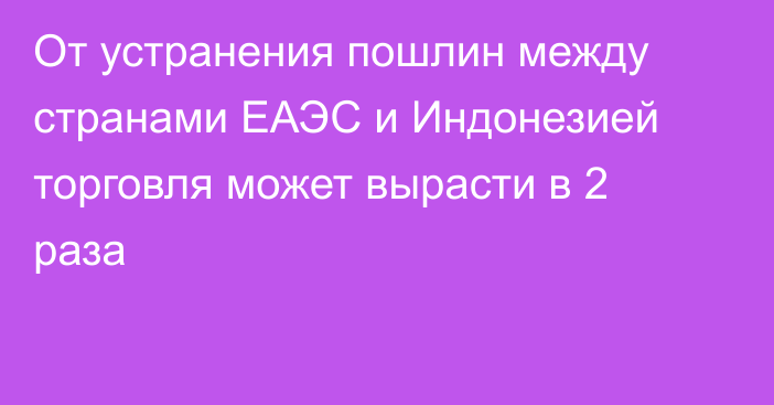 От устранения пошлин между странами ЕАЭС и Индонезией торговля может вырасти в 2 раза