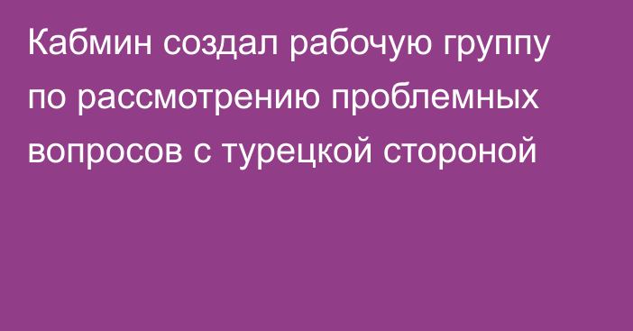 Кабмин создал рабочую группу по рассмотрению проблемных вопросов с турецкой стороной