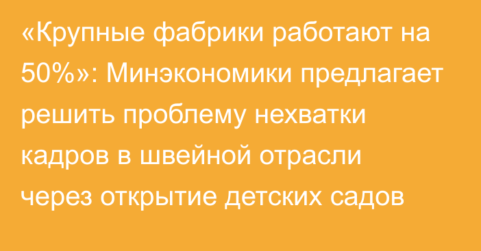 «Крупные фабрики работают на 50%»: Минэкономики предлагает решить проблему нехватки кадров в швейной отрасли через открытие детских садов