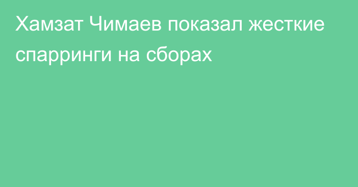 Хамзат Чимаев показал жесткие спарринги на сборах