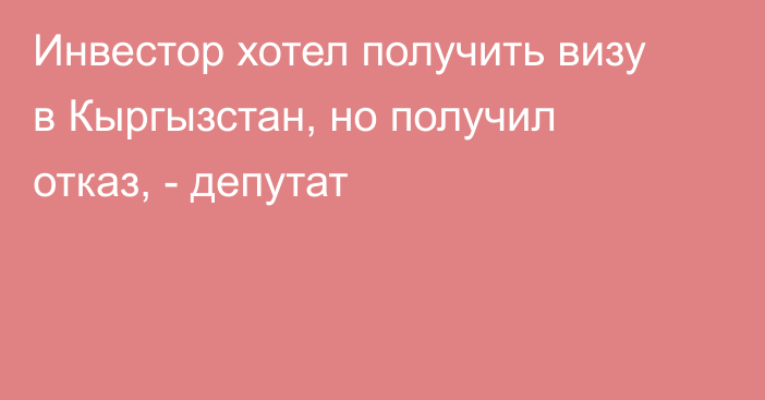 Инвестор хотел получить визу в Кыргызстан, но получил отказ, - депутат