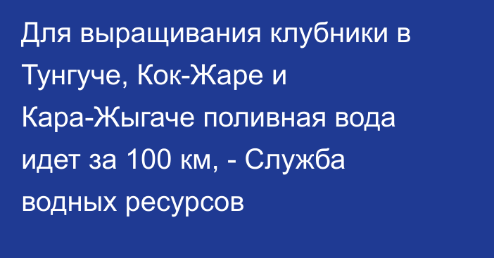 Для выращивания клубники в Тунгуче, Кок-Жаре и Кара-Жыгаче поливная вода идет за 100 км, - Служба водных ресурсов