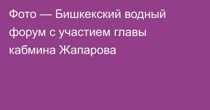 Фото — Бишкекский водный форум с участием главы кабмина Жапарова