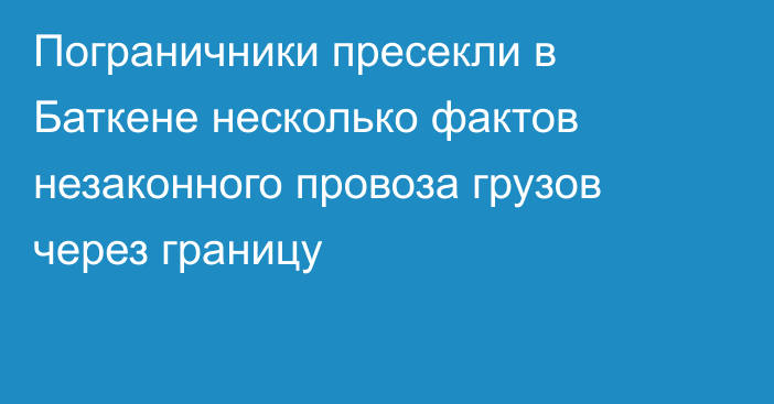 Пограничники пресекли в Баткене несколько фактов незаконного провоза грузов через границу