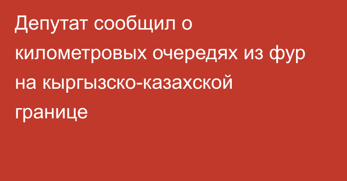 Депутат сообщил о километровых очередях из фур на кыргызско-казахской границе