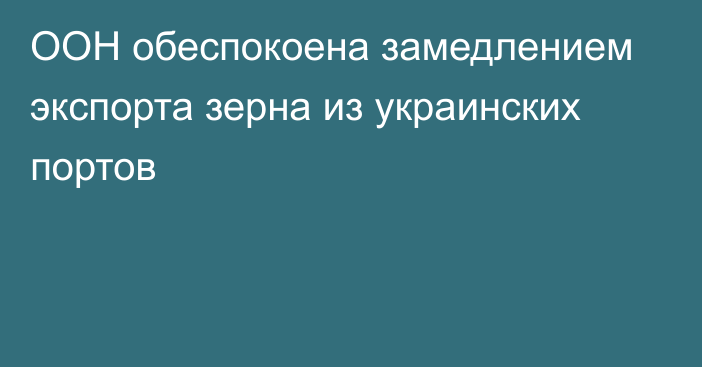 ООН обеспокоена замедлением экспорта зерна из украинских портов