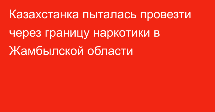 Казахстанка пыталась провезти через границу наркотики в Жамбылской области