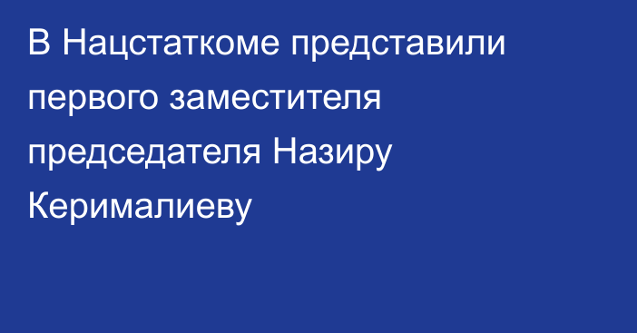 В Нацстаткоме представили первого заместителя председателя Назиру Керималиеву