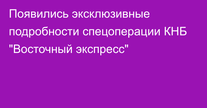 Появились эксклюзивные подробности спецоперации КНБ 