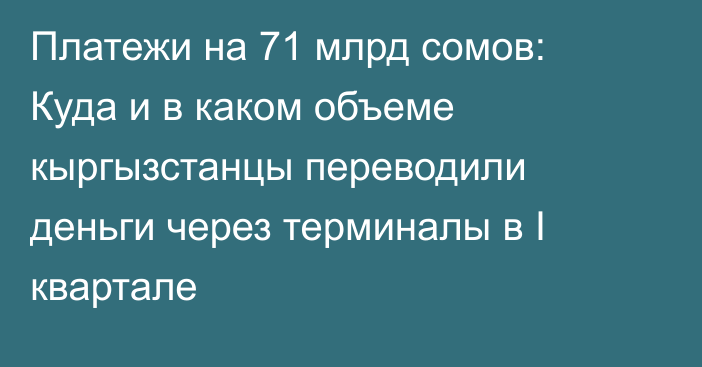 Платежи на 71 млрд сомов: Куда и в каком объеме  кыргызстанцы переводили деньги через терминалы в I квартале