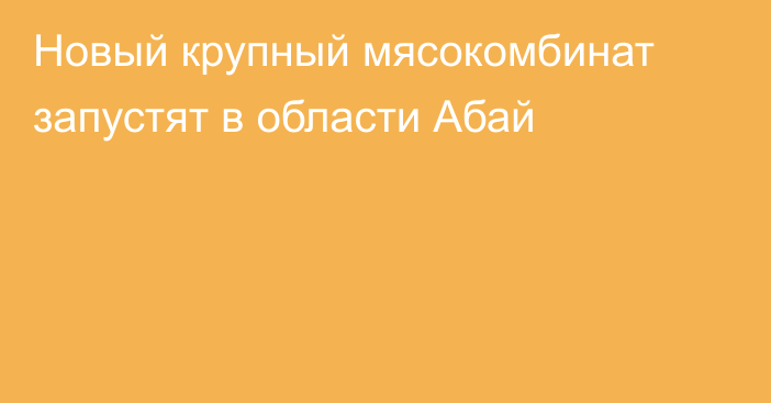 Новый крупный мясокомбинат запустят в области Абай