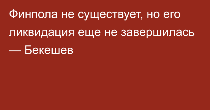 Финпола не существует, но его ликвидация еще не завершилась — Бекешев