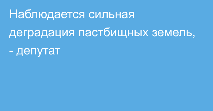 Наблюдается сильная деградация пастбищных земель, - депутат