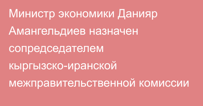 Министр экономики Данияр Амангельдиев назначен сопредседателем кыргызско-иранской межправительственной комиссии