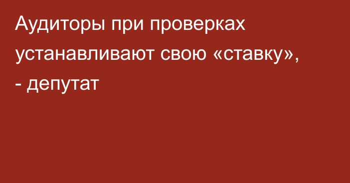 Аудиторы при проверках устанавливают свою «ставку», - депутат