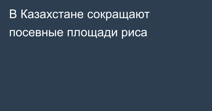 В Казахстане сокращают посевные площади риса