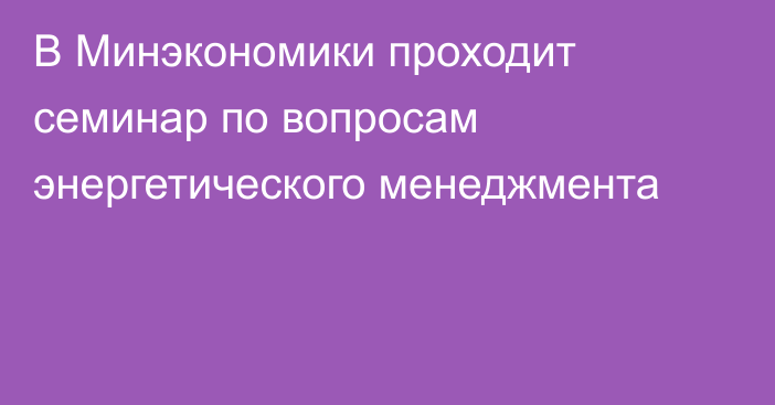 В Минэкономики проходит семинар по вопросам энергетического менеджмента