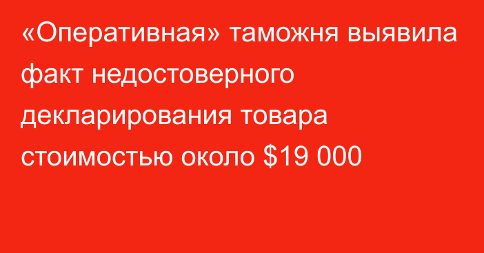 «Оперативная» таможня выявила факт недостоверного декларирования товара стоимостью около $19 000