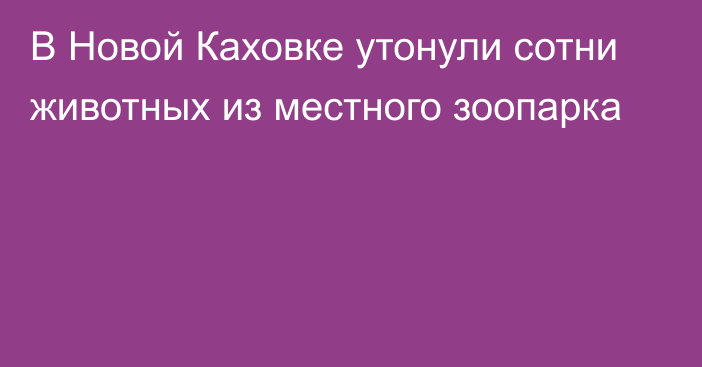 В Новой Каховке утонули сотни животных из местного зоопарка