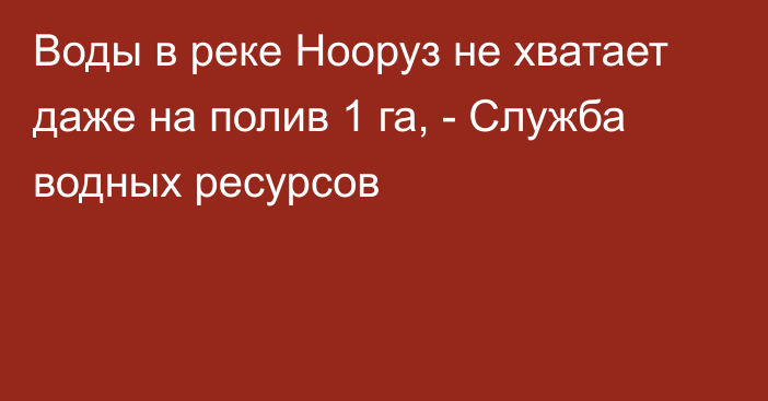 Воды в реке Нооруз не хватает даже на полив 1 га, - Служба водных ресурсов