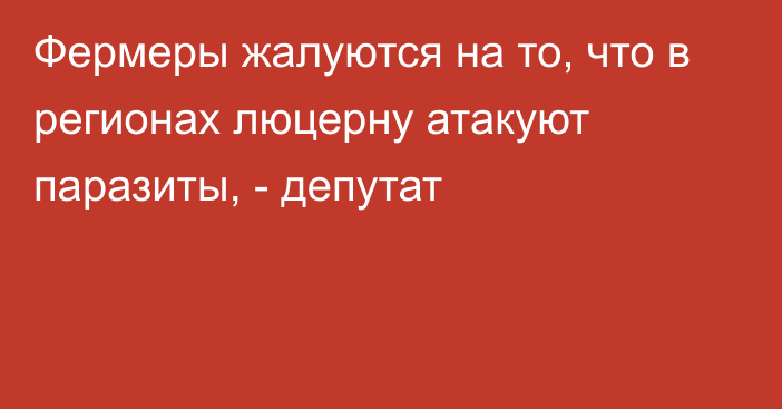 Фермеры жалуются на то, что в регионах люцерну атакуют паразиты, - депутат