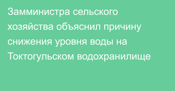 Замминистра сельского хозяйства объяснил причину снижения уровня воды на Токтогульском водохранилище