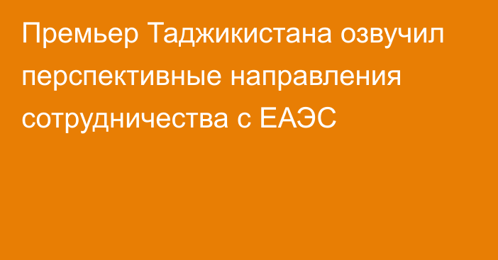 Премьер Таджикистана озвучил перспективные направления сотрудничества с ЕАЭС