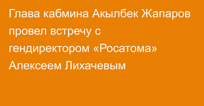 Глава кабмина Акылбек Жапаров провел встречу с гендиректором «Росатома» Алексеем Лихачевым