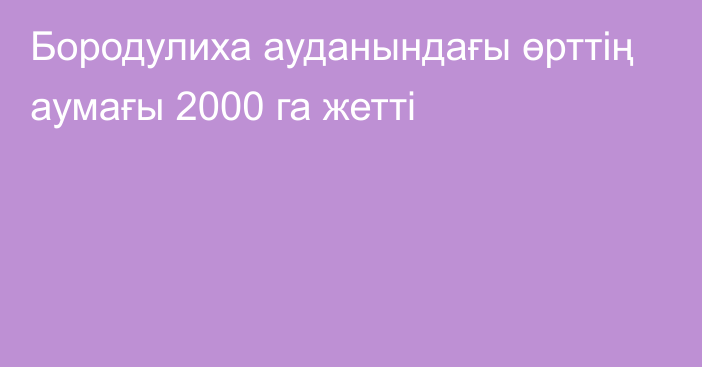 Бородулиха ауданындағы өрттің аумағы 2000 га жетті