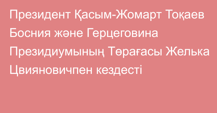 Президент Қасым-Жомарт Тоқаев Босния және Герцеговина Президиумының Төрағасы Желька Цвияновичпен кездесті