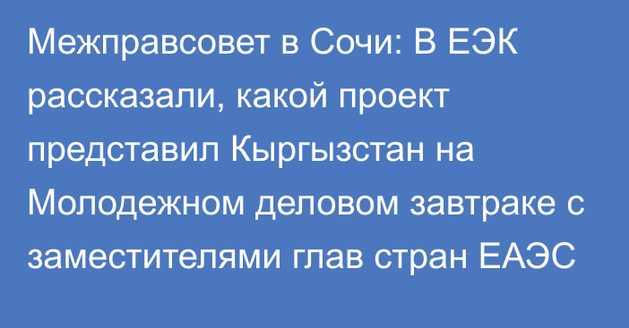 Межправсовет в Сочи: В ЕЭК рассказали, какой проект представил Кыргызстан на Молодежном деловом завтраке с заместителями глав стран ЕАЭС