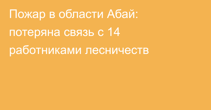 Пожар в области Абай: потеряна связь с 14 работниками лесничеств