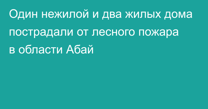 Один нежилой и два жилых дома пострадали от лесного пожара в области Абай