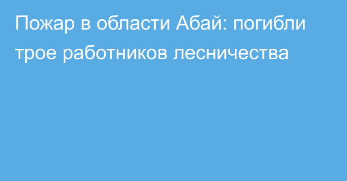 Пожар в области Абай: погибли трое работников лесничества