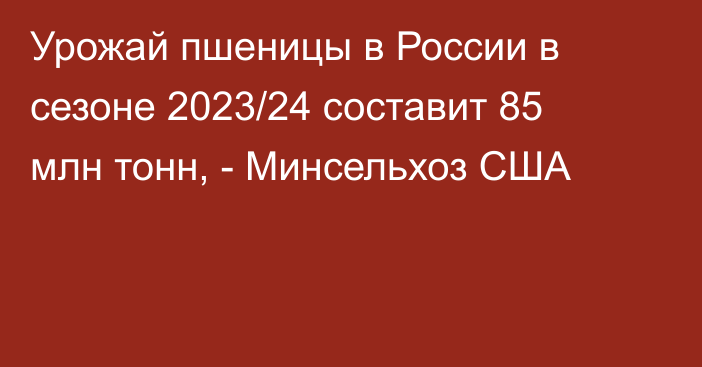 Урожай пшеницы в России в сезоне 2023/24 составит 85 млн тонн, - Минсельхоз США