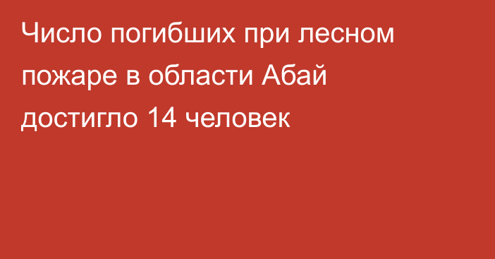 Число погибших при лесном пожаре в области Абай достигло 14 человек