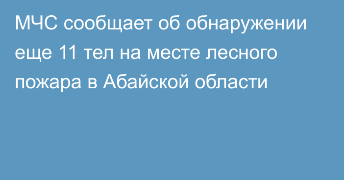 МЧС сообщает об обнаружении еще 11 тел на месте лесного пожара в Абайской области