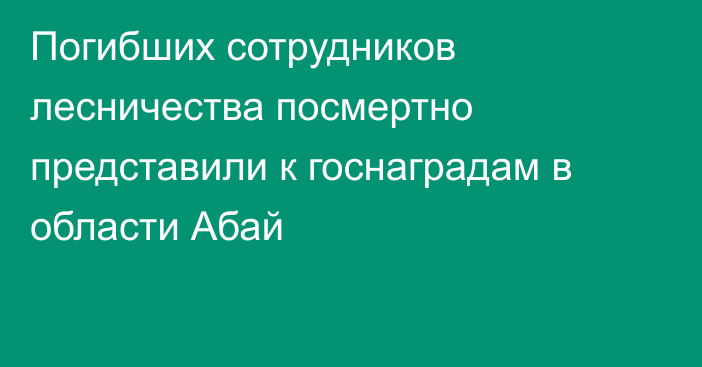 Погибших сотрудников лесничества посмертно представили к госнаградам в области Абай