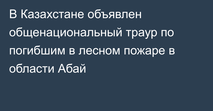 В Казахстане объявлен общенациональный траур по погибшим в лесном пожаре в области Абай