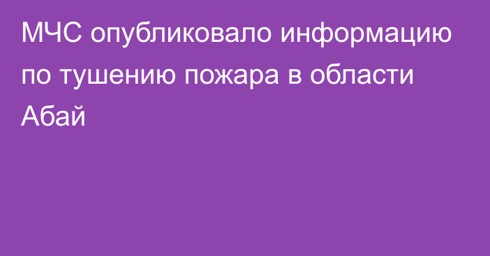 МЧС опубликовало информацию по тушению пожара в области Абай