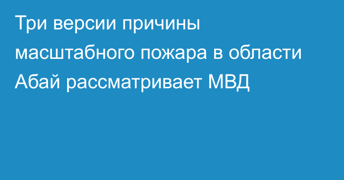 Три версии причины масштабного пожара в области Абай рассматривает МВД