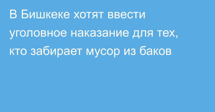 В Бишкеке хотят ввести уголовное наказание для тех, кто забирает мусор из баков