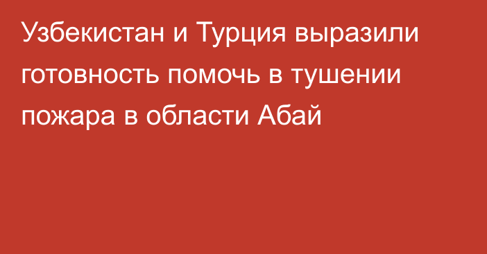 Узбекистан и Турция выразили готовность помочь в тушении пожара в области Абай