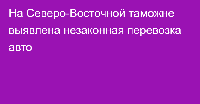 На Северо-Восточной таможне выявлена незаконная перевозка авто