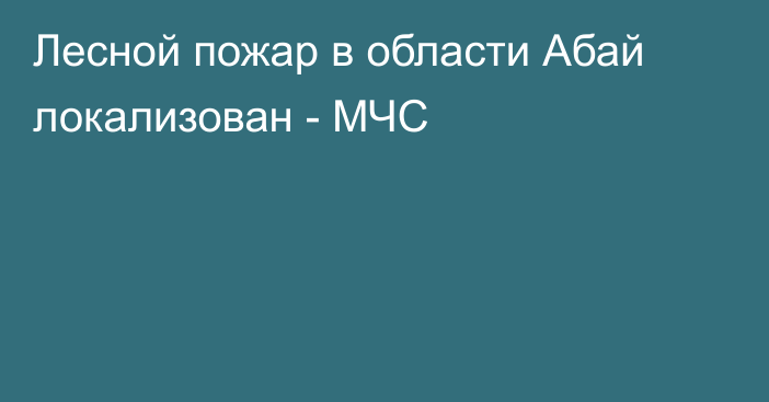 Лесной пожар в области Абай локализован - МЧС