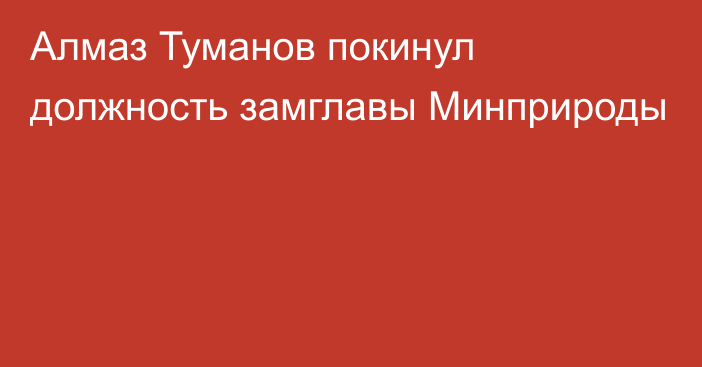 Алмаз Туманов покинул должность замглавы Минприроды