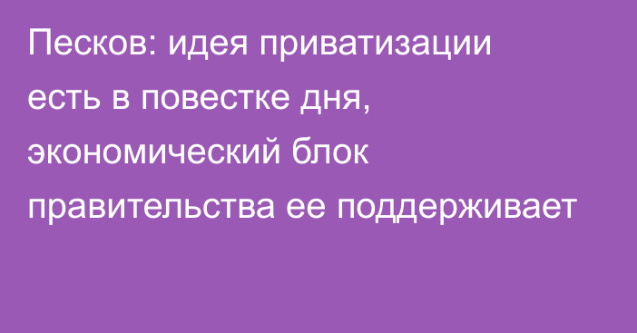 Песков: идея приватизации есть в повестке дня, экономический блок правительства ее поддерживает