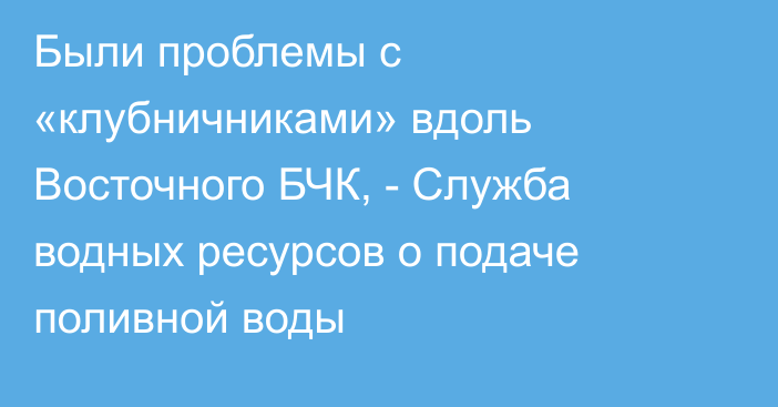 Были проблемы с «клубничниками» вдоль Восточного БЧК, - Служба водных ресурсов о подаче поливной воды