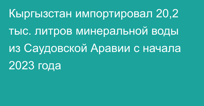 Кыргызстан импортировал 20,2 тыс. литров минеральной воды из Саудовской Аравии с начала 2023 года