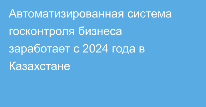 Автоматизированная система госконтроля бизнеса заработает с 2024 года в Казахстане